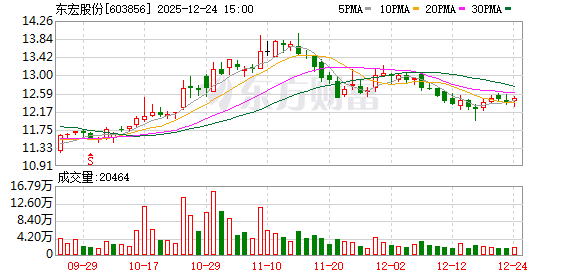 东宏股份：2026年1月9日召开2026年第一次临时股东会  第1张