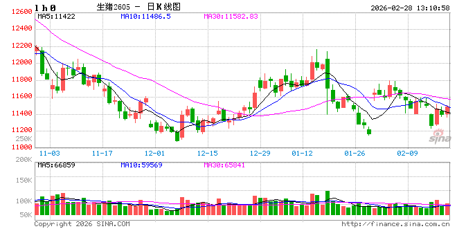 高瞻远“猪”：节后亏损再度加剧 生猪养殖何时走出困境？  第2张